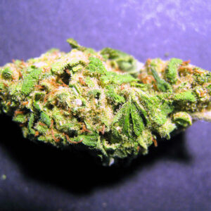 Star Master Kush