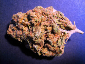 Durban Poison CBD Hemp Flower