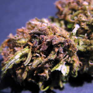 Grape Ape Hemp Flower