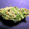 Star Master Kush