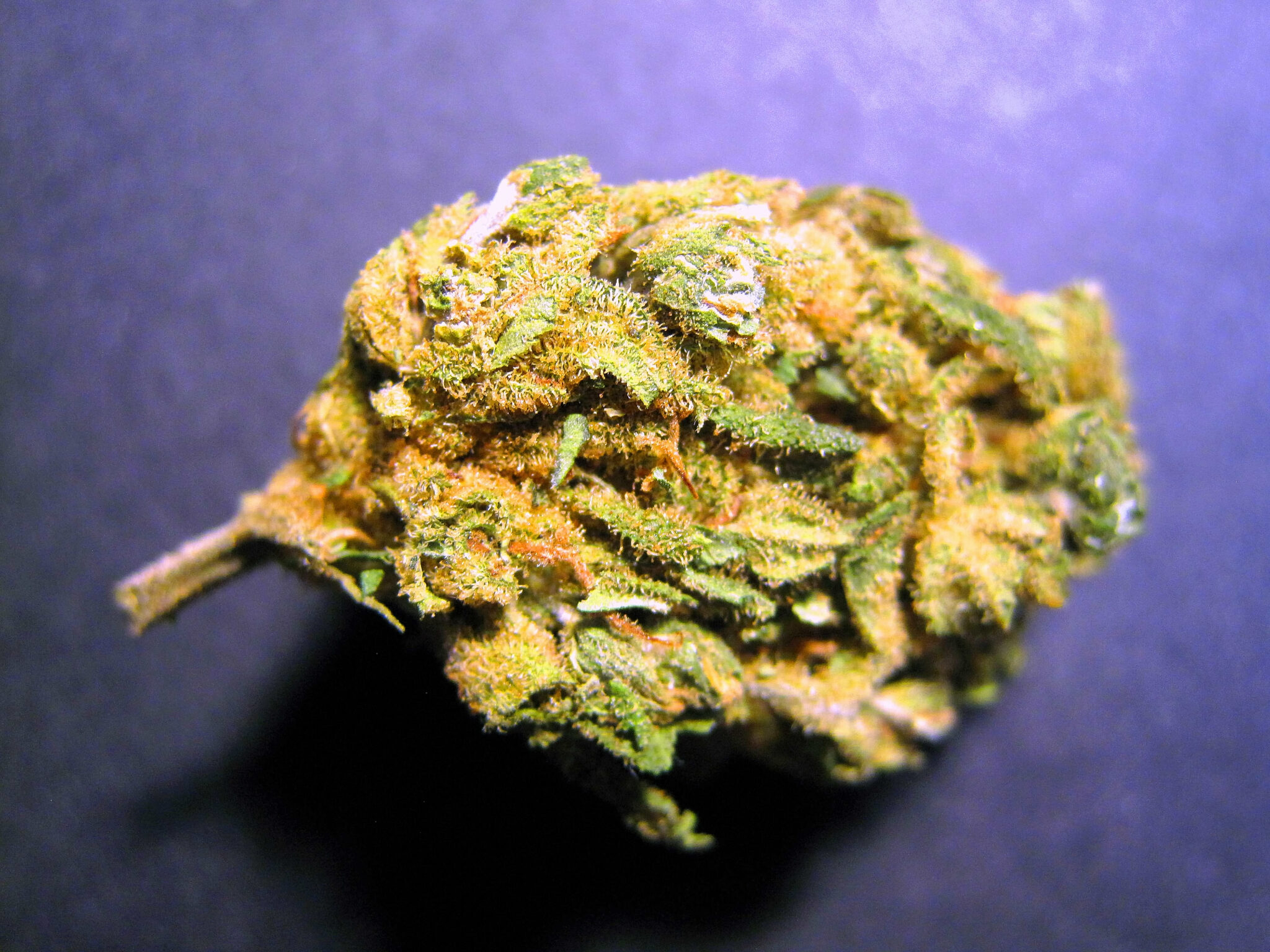 Casino Cookies CBD Hemp Flower Top Drawer Strain CBD Flower By Chillaxd